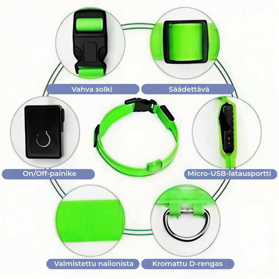 LED-koiran kaulapanta