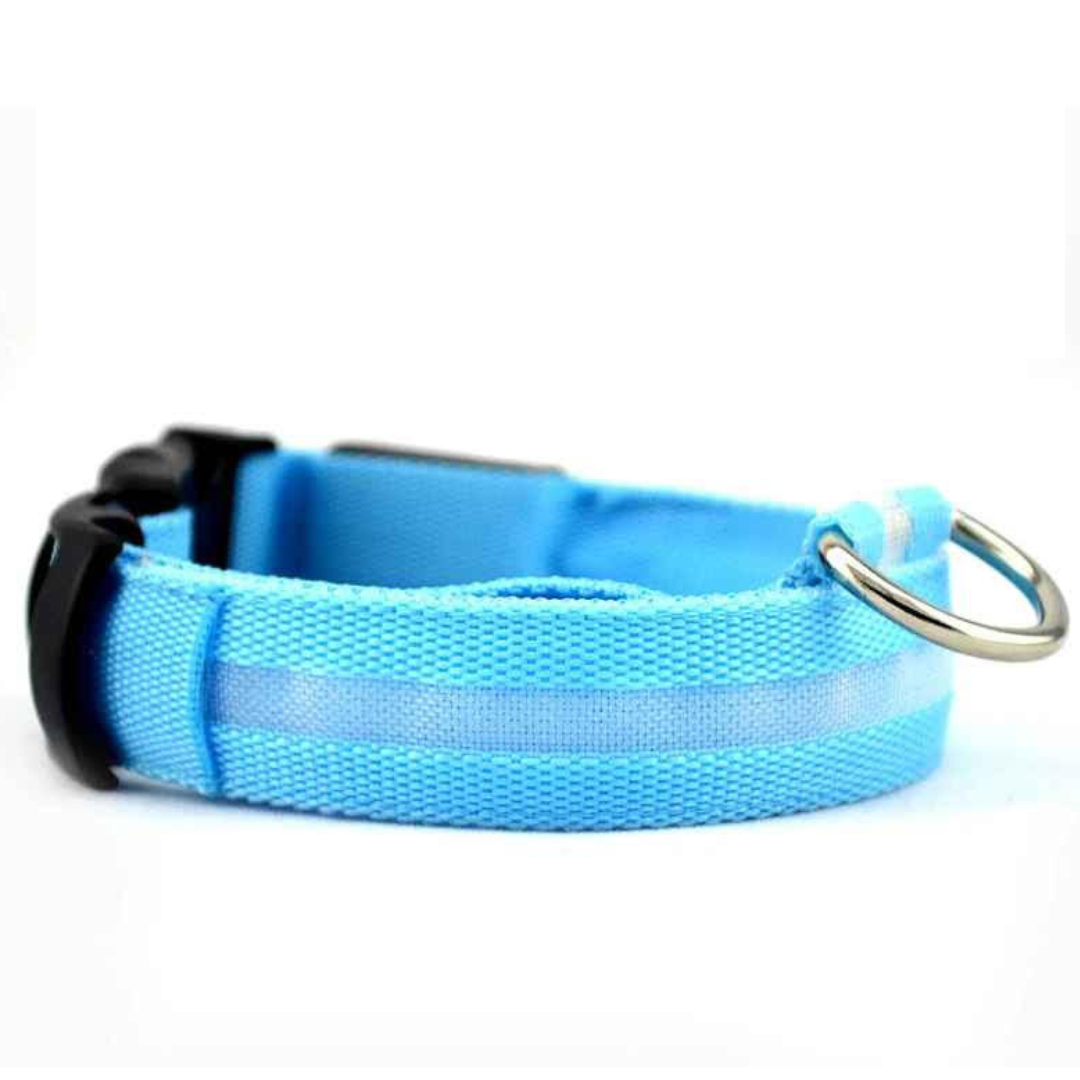 LED-koiran kaulapanta