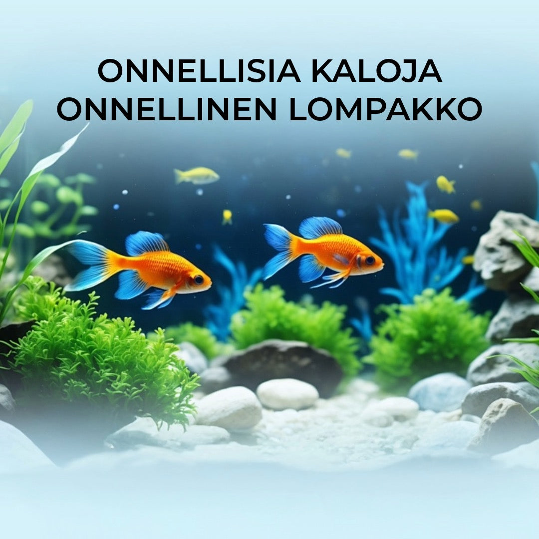 Vedenpuhdistustabletit akvaarioihin